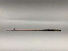 Fly Fishing Rod with Case