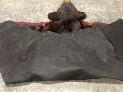 Large Black Bear Rug Taxidermy