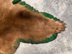 Cinnamon Black Bear Rug Taxidermy Mount