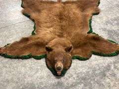 Cinnamon Black Bear Rug Taxidermy Mount