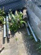 Chain Link Fencing