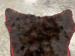 Large Black Bear Rug Taxidermy