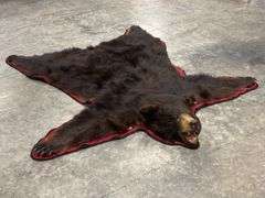 Large Black Bear Rug Taxidermy