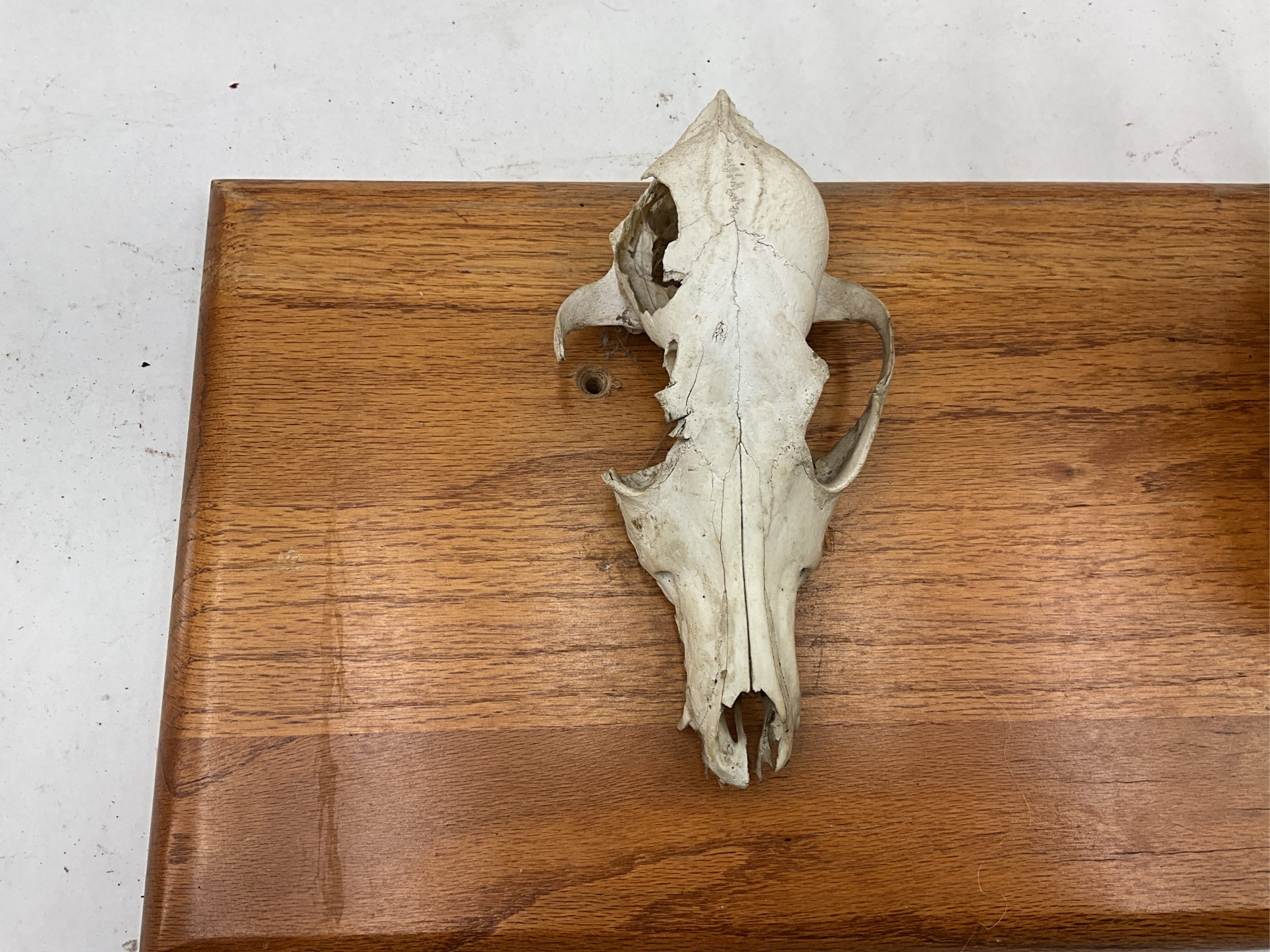 Lot image 3