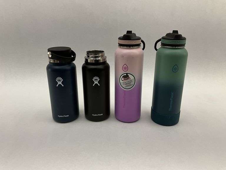 Hydro Flask and ThermoFlask Stainless Steel Water Bottles (Lot of 4)
