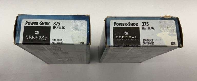 Federal Power-Shok 375 H&H Mag 300 Grain Soft Point Ammunition - 2 boxes image