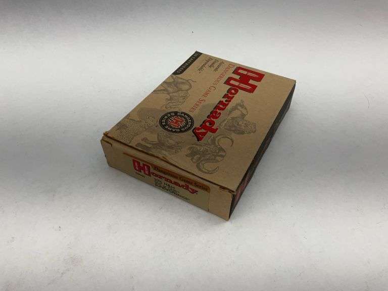 Hornady Dangerous Game Series 375 H&H 300 gr DGS Superformance Ammunition image