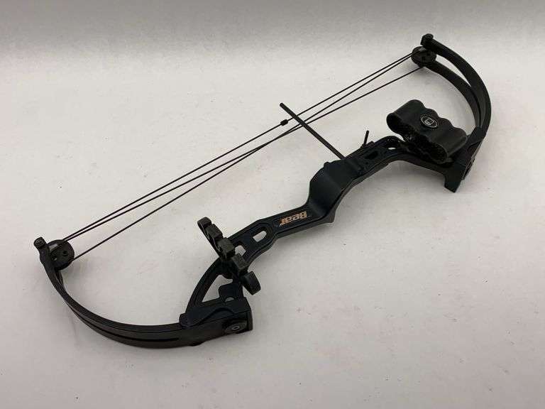 Youth Bear Archery Compound Bow image