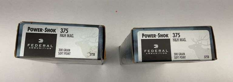 Federal Power-Shok .375 H&H Mag Ammunition - 2 boxes image