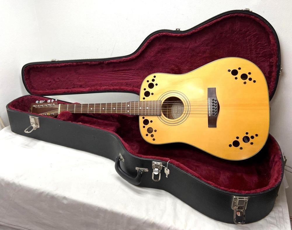 Fender DG10/12 NS S/N 96051090 12 string guitar in hard case