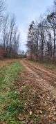 Tract #2 36.75 Acres