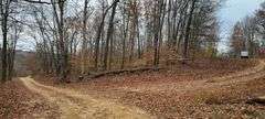 Tract #2 36.75 Acres