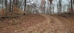 Tract #2 36.75 Acres
