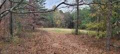 Tract #2 36.75 Acres
