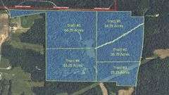 Tract #2 36.75 Acres