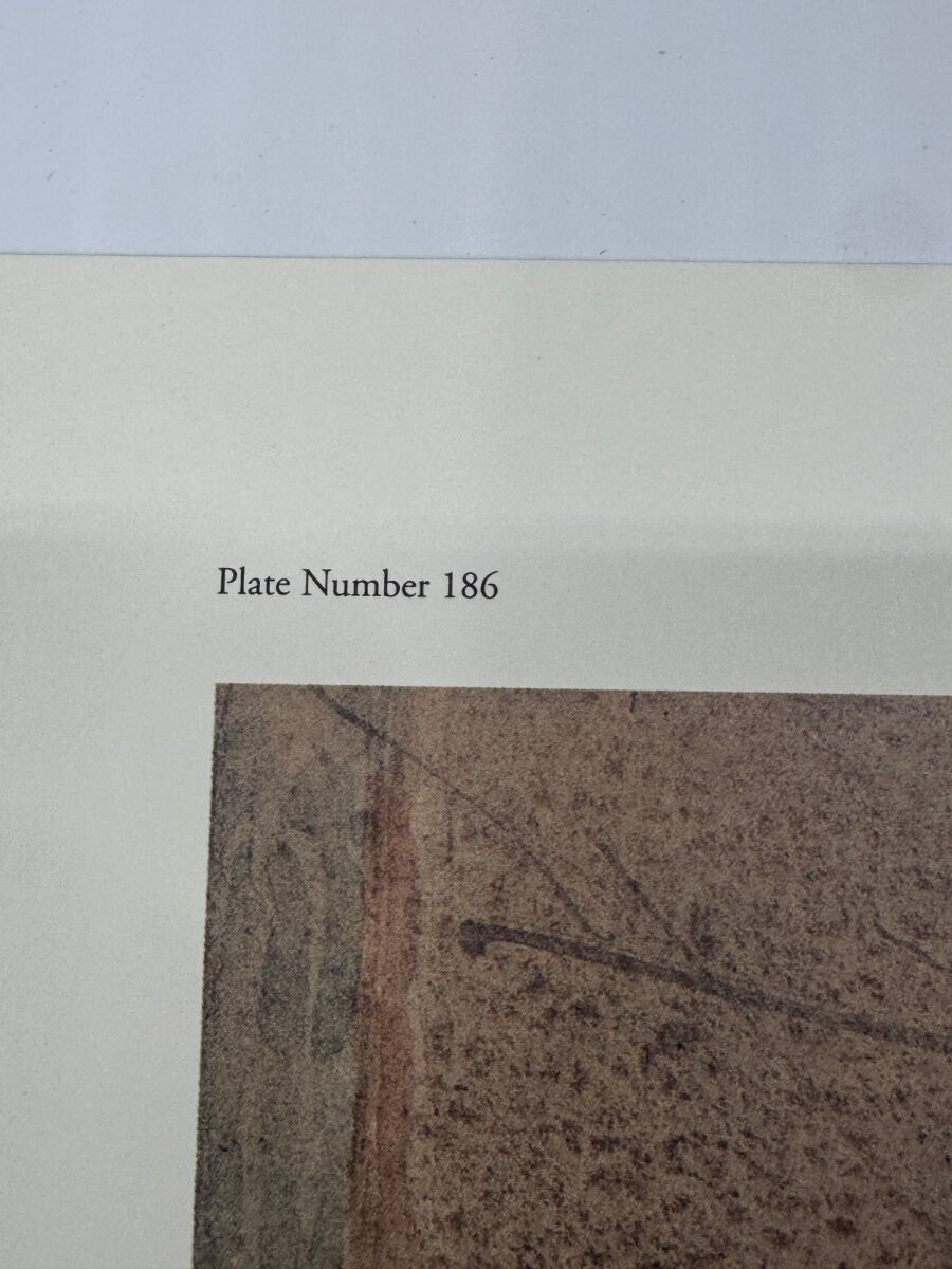 Lot image 5