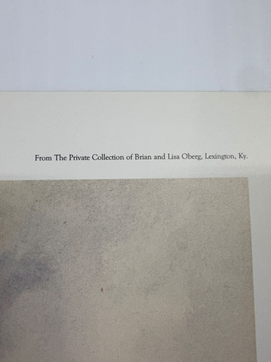 Lot image 6