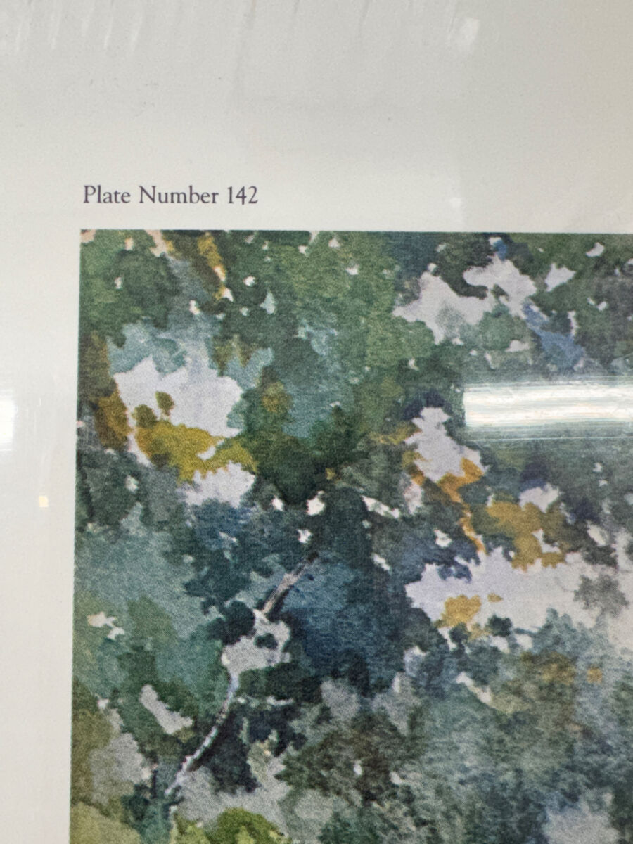 Lot image 4
