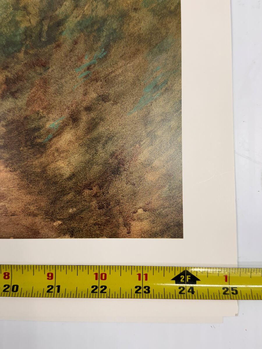 Lot image 5