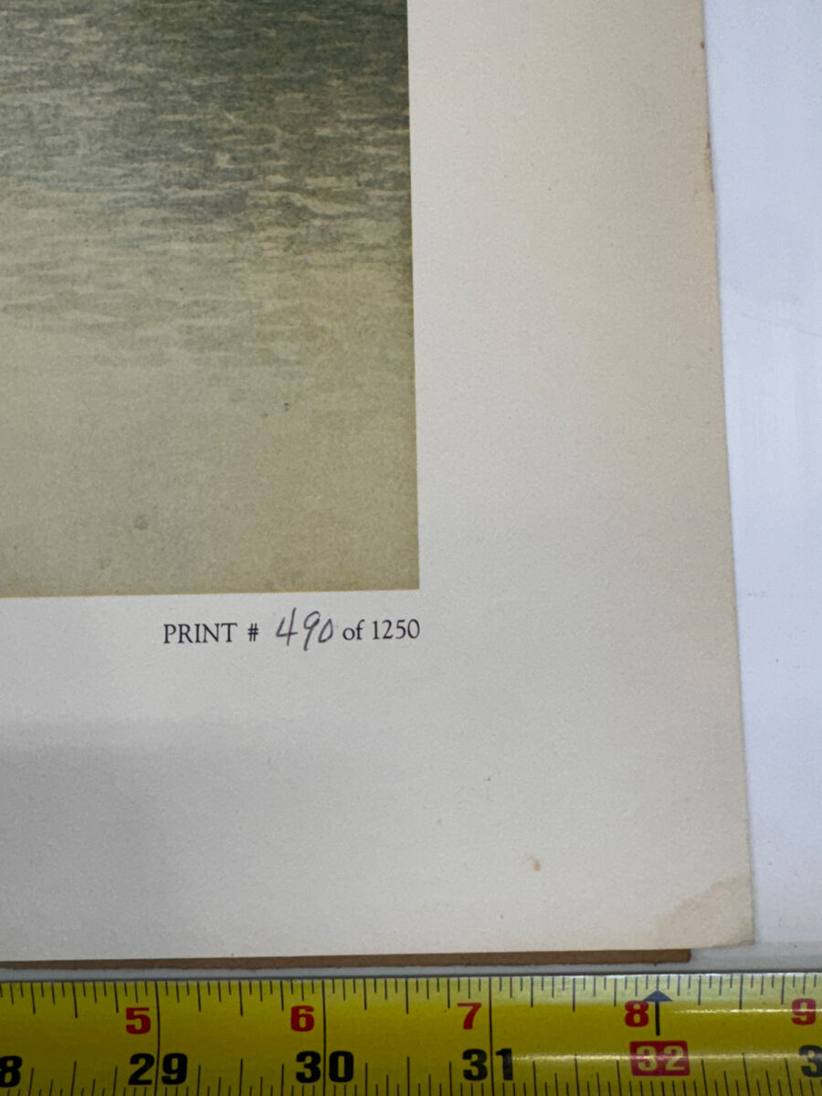 Lot image 6