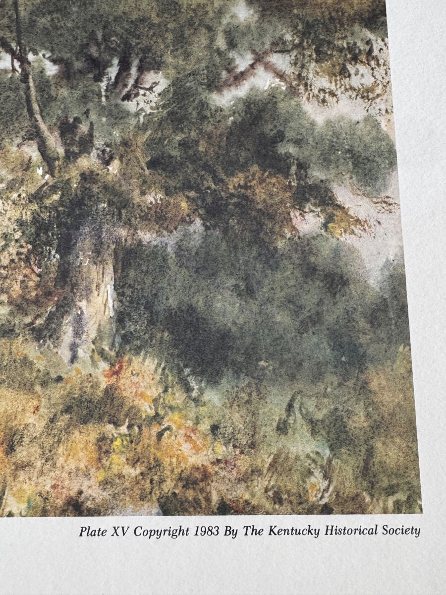Lot image 5