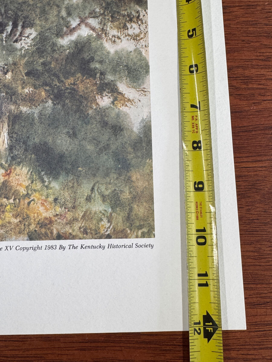 Lot image 6