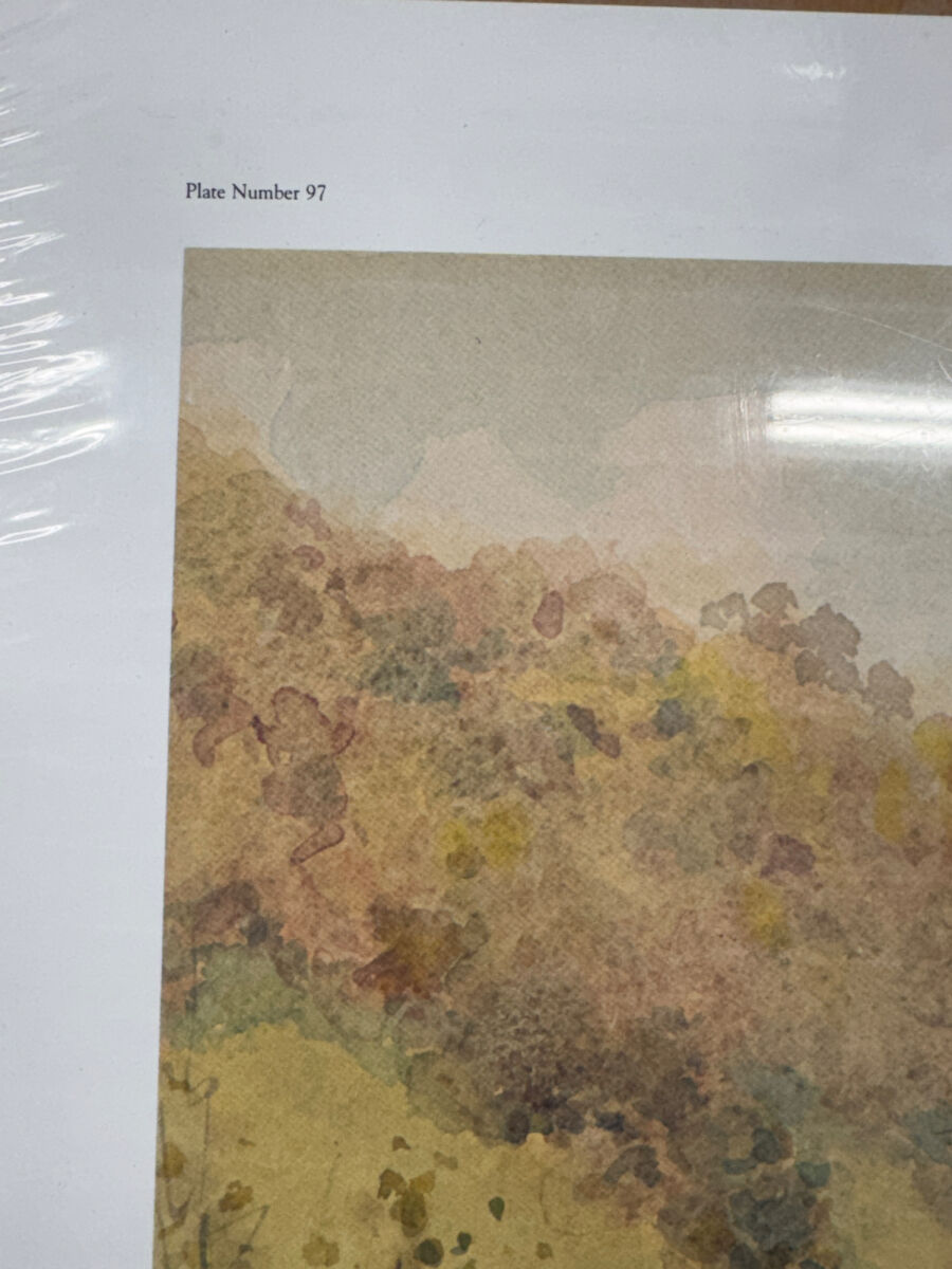 Lot image 4