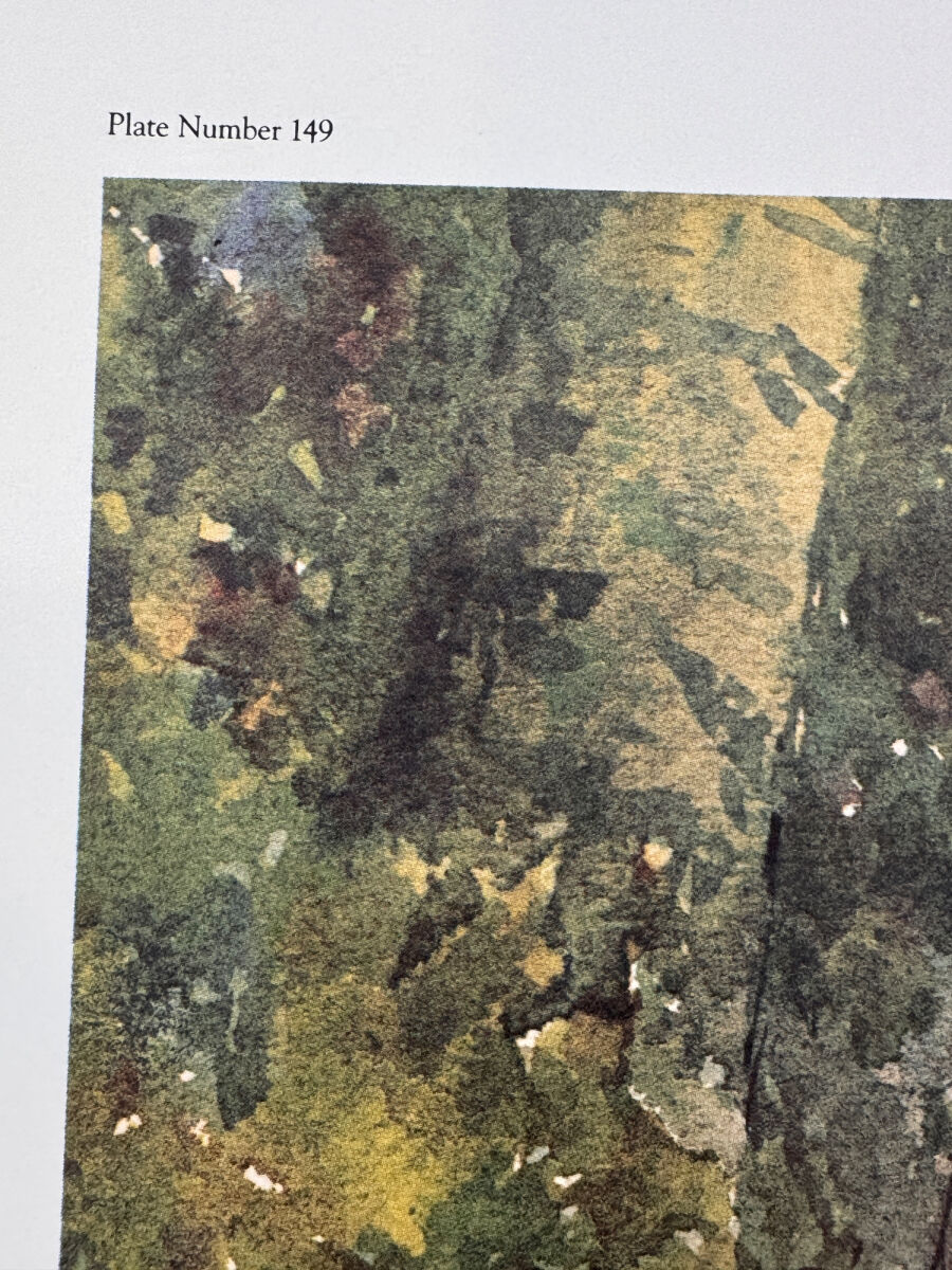 Lot image 4