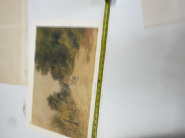 Lot image 10