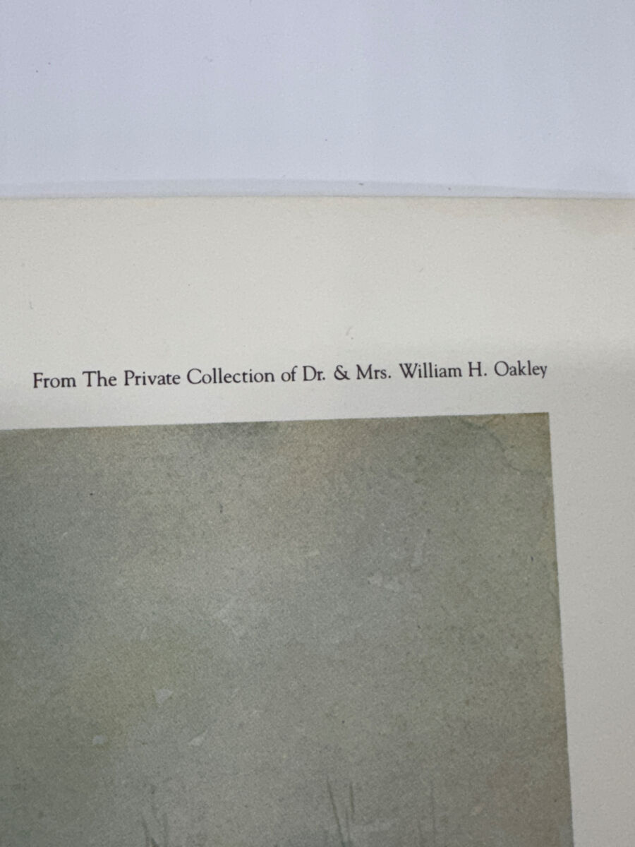Lot image 10