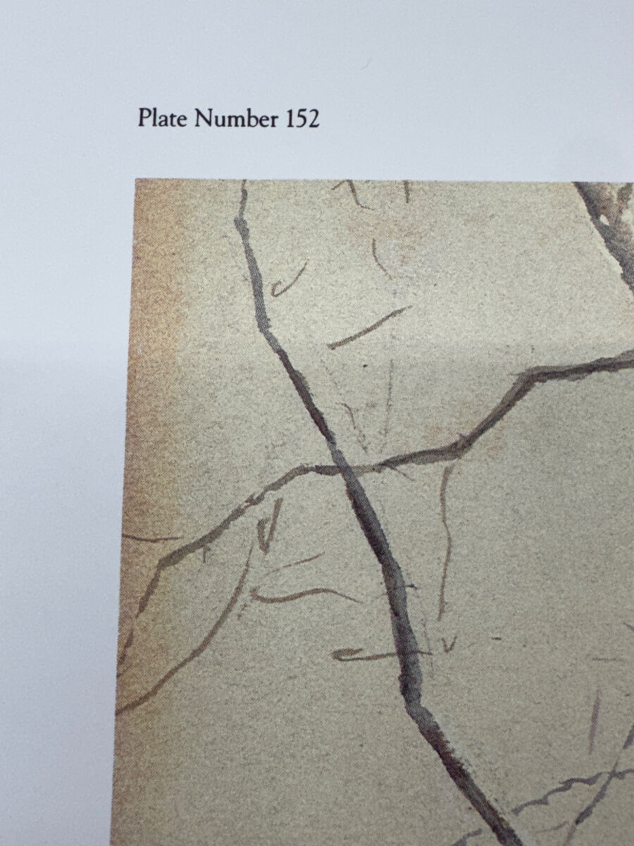 Lot image 3