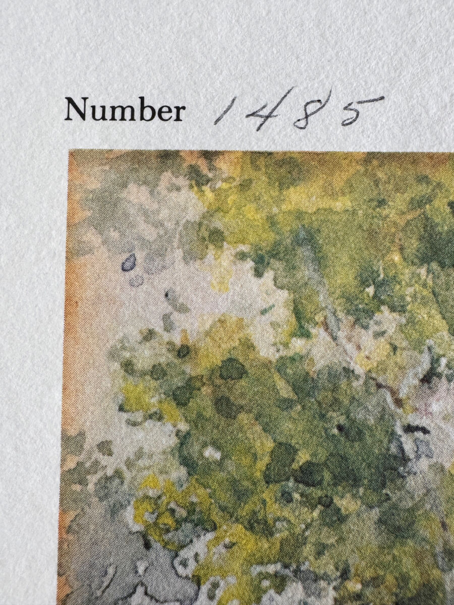 Lot image 8