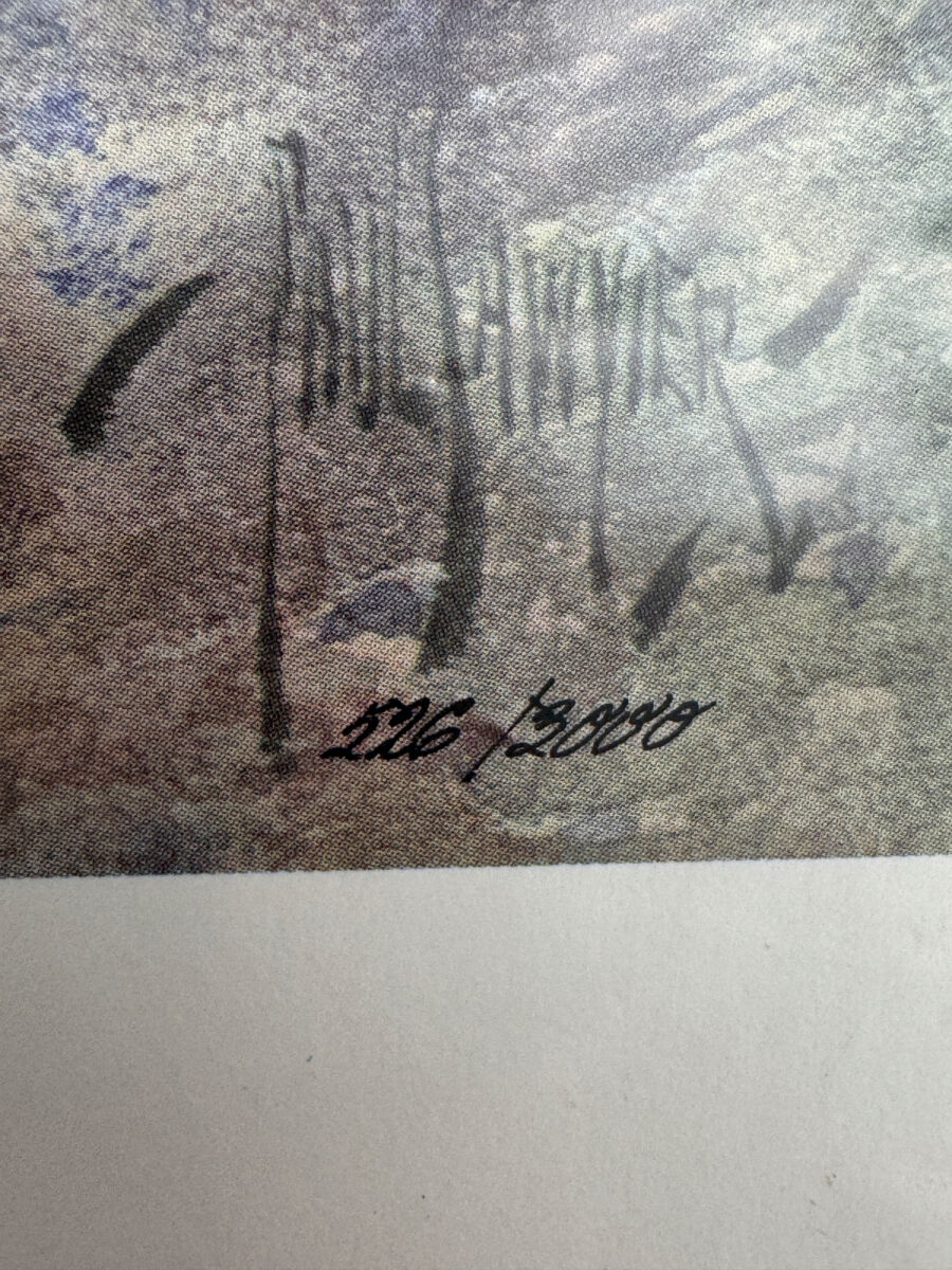 Lot image 2