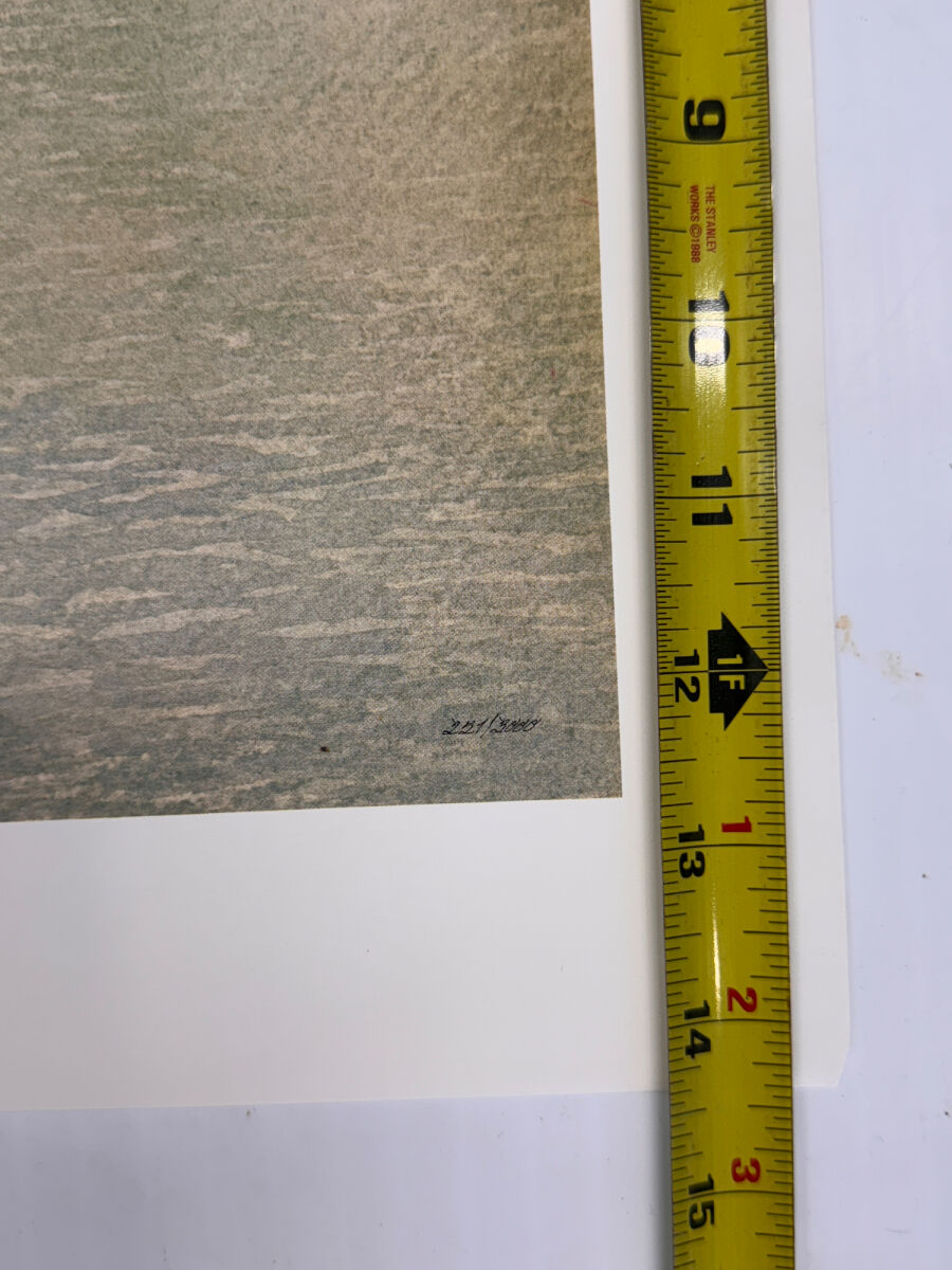 Lot image 8