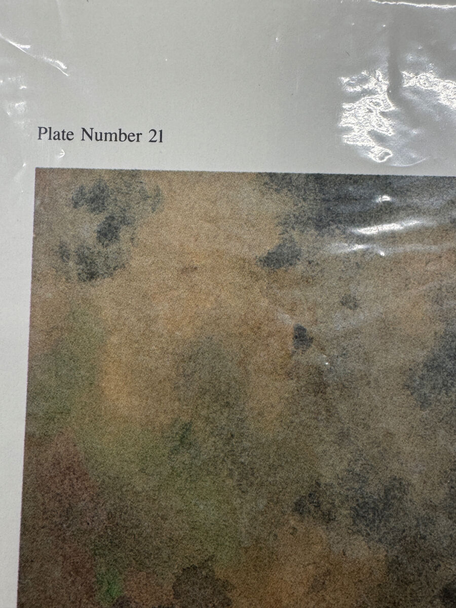 Lot image 5