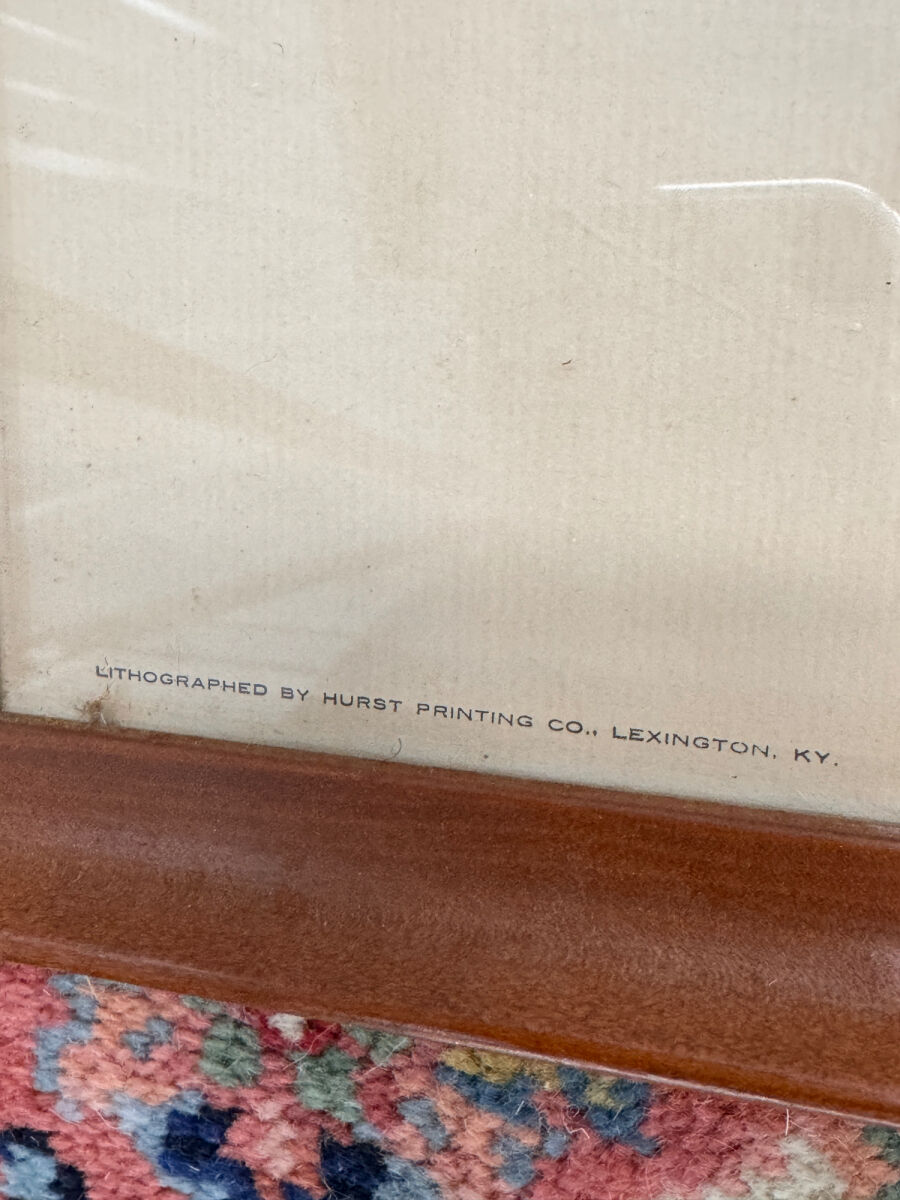 Lot image 4