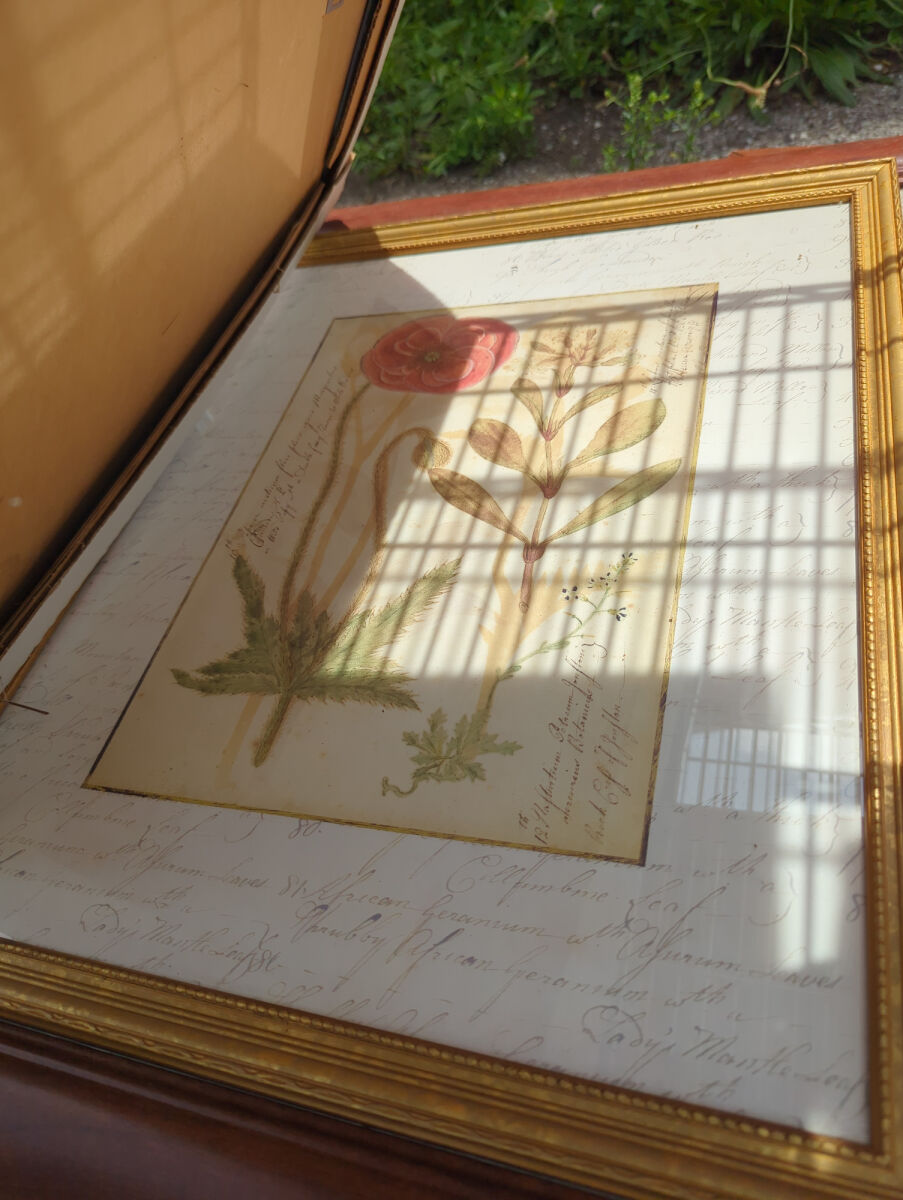 Lot image 2