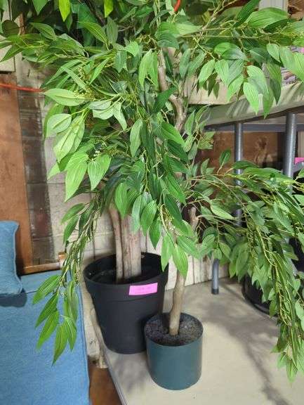Pair of Artificial Ficus Trees