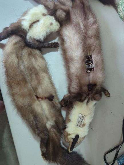 Stone Marten Fur Stole