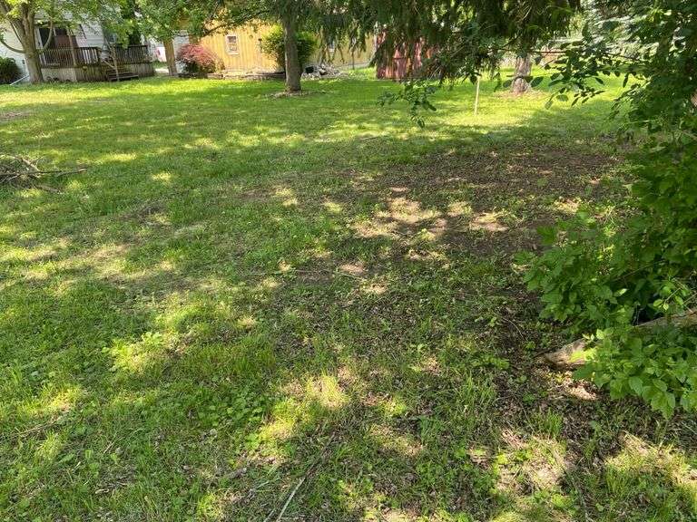 Owosso Vacant Lot