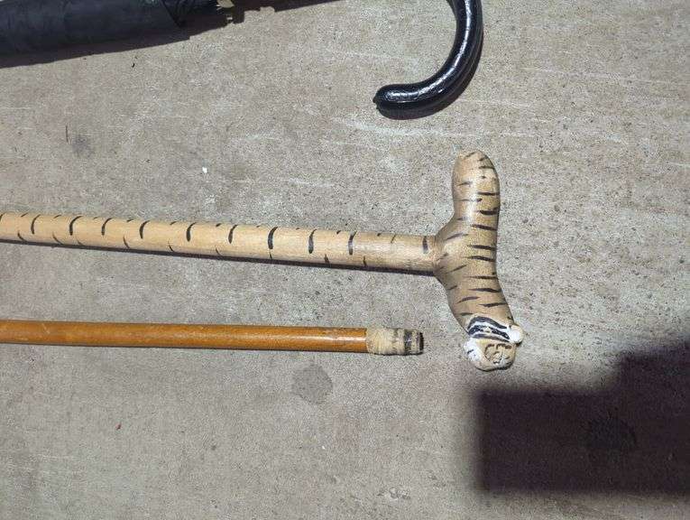 Umbrella and Walking Cane Assortment