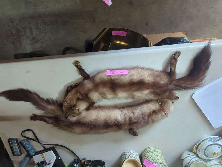 Stone Marten Fur Stole