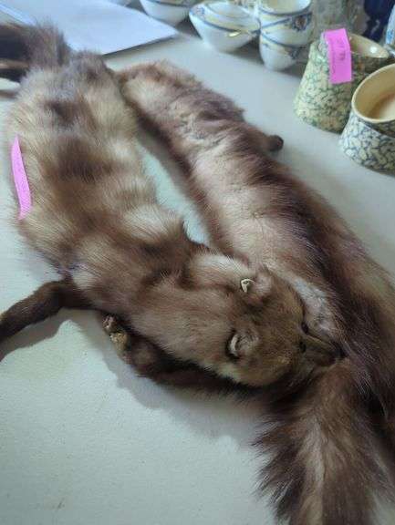 Stone Marten Fur Stole