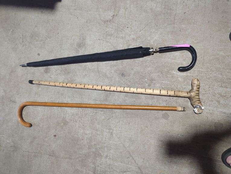 Umbrella and Walking Cane Assortment