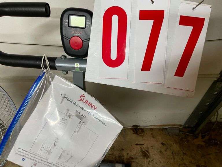Sunny Upright Row-N-Ride Exerciser