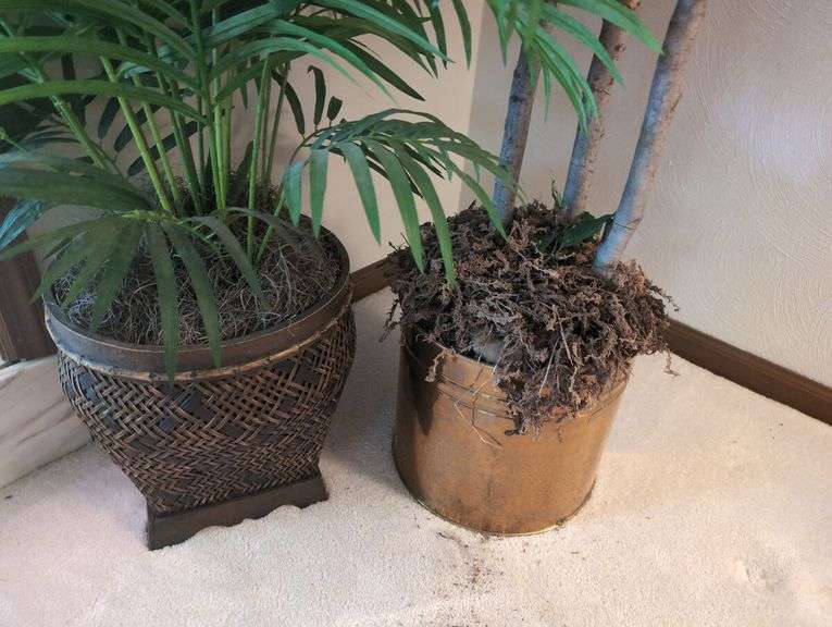 Potted Plants and Wooden Rocking Horse
