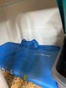 Household Cleaning Supplies, Dishes, and Home Decor