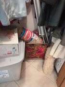 Assorted Closet Items: Clothing, Storage, and Collectibles