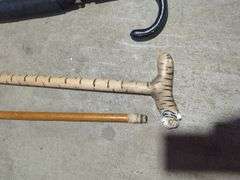 Umbrella and Walking Cane Assortment