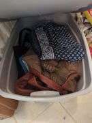 Assorted Closet Items: Clothing, Storage, and Collectibles